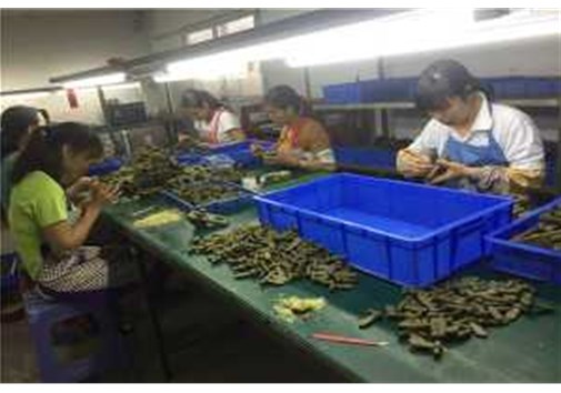 精密鑄造蠟?zāi)Ｐ迯?fù)工序